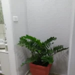 Wana casa 2 - Foto 12